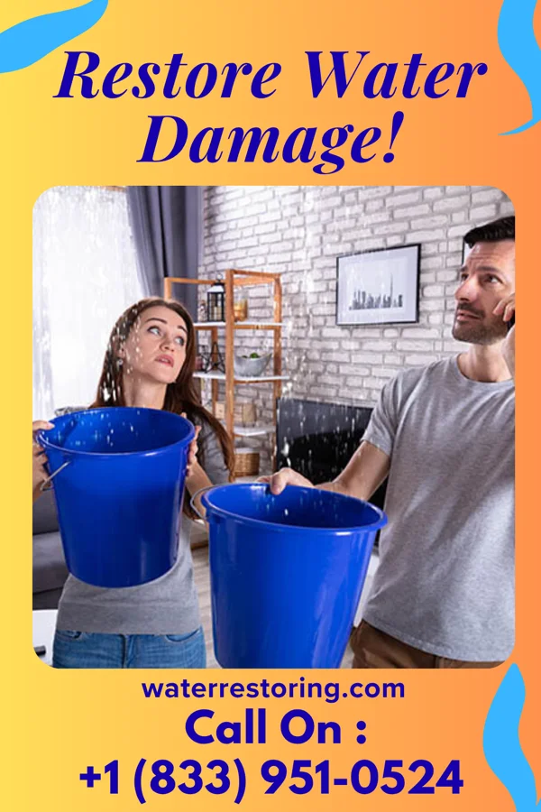 water restoration Premier Water Removal Inc Winfall