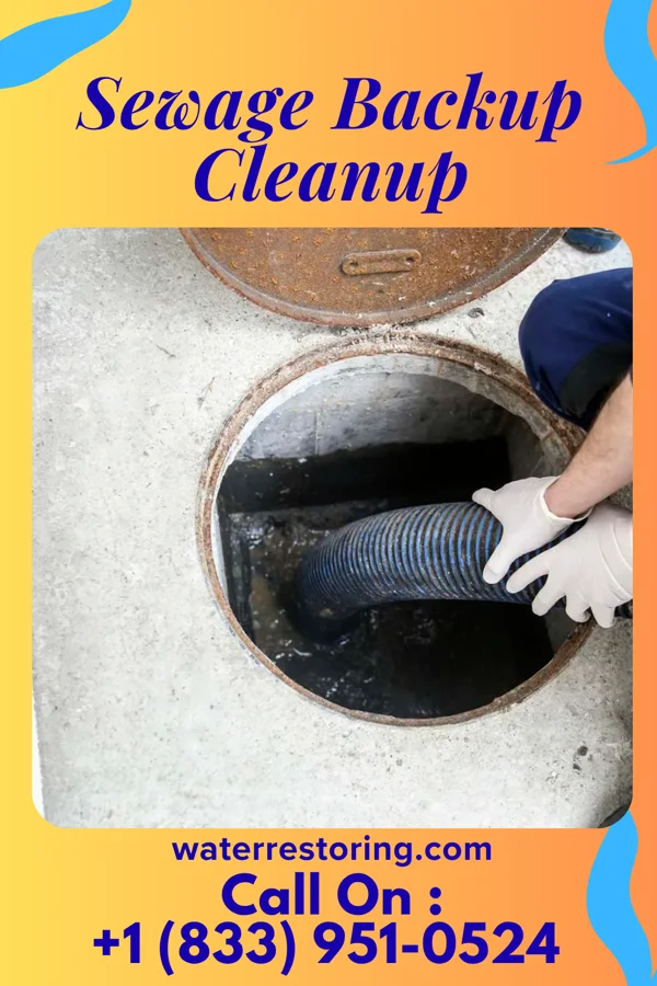 Sewage Backup Cleanup in Winfall, NC
