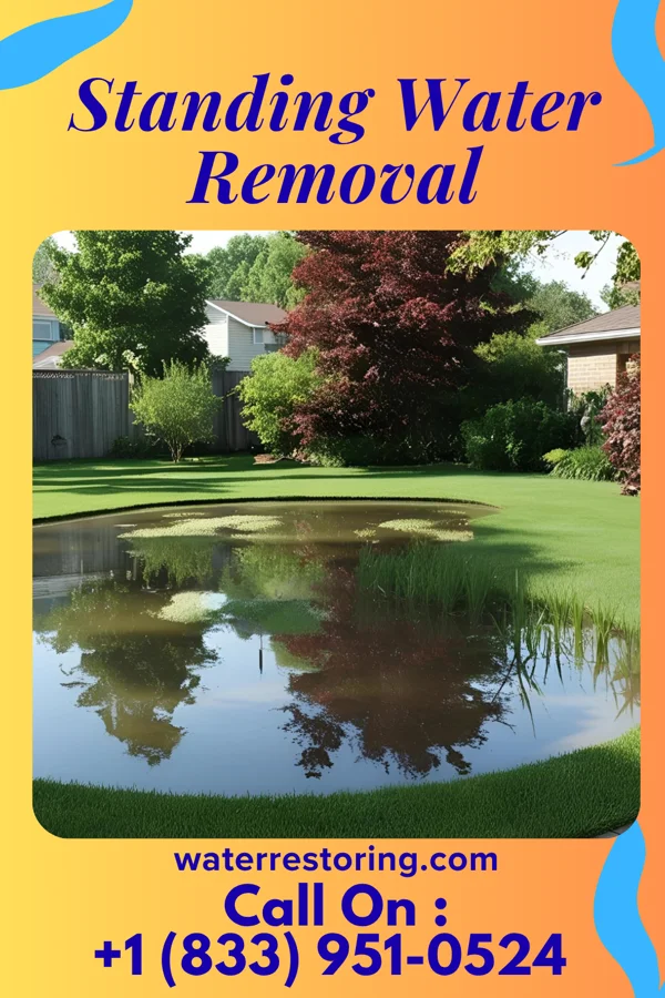 Standing Water Removal in Winfall, NC